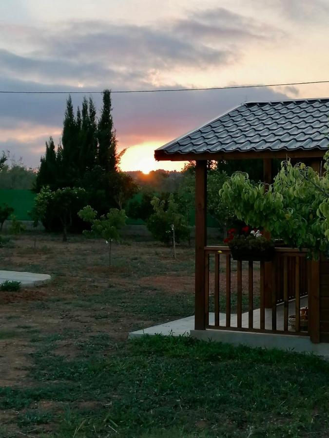 Bed and Breakfast Casa Dominaty Cálig Zewnętrze zdjęcie