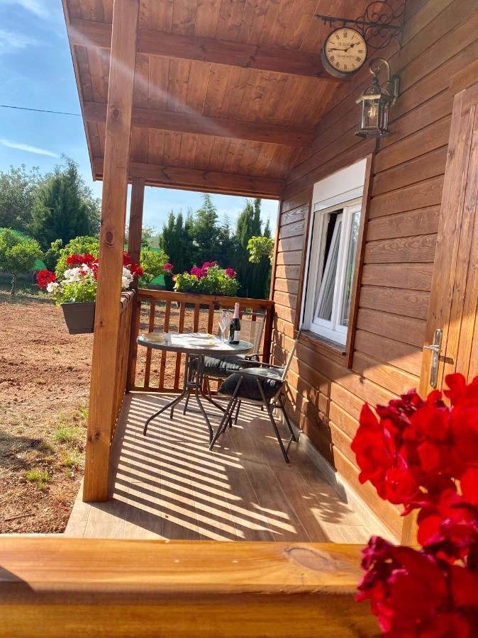 Bed and Breakfast Casa Dominaty Cálig Zewnętrze zdjęcie